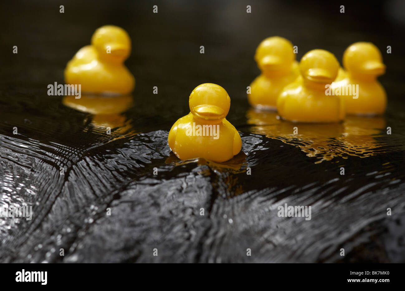 Giallo giocattolo di plastica anatre su un veloce che scorre il fiume andando oltre le rocce nel Regno Unito Foto Stock Giallo giocattolo di plastica anatre su un veloce che scorre il fiume andando oltre le rocce nel Regno Unito Foto Stock