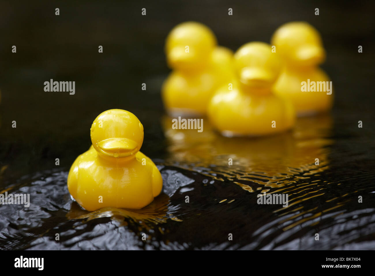 Giallo giocattolo di plastica anatre su un veloce fiume che scorre nel Regno Unito Foto Stock Giallo giocattolo di plastica anatre su un veloce fiume che scorre nel Regno Unito Foto Stock
