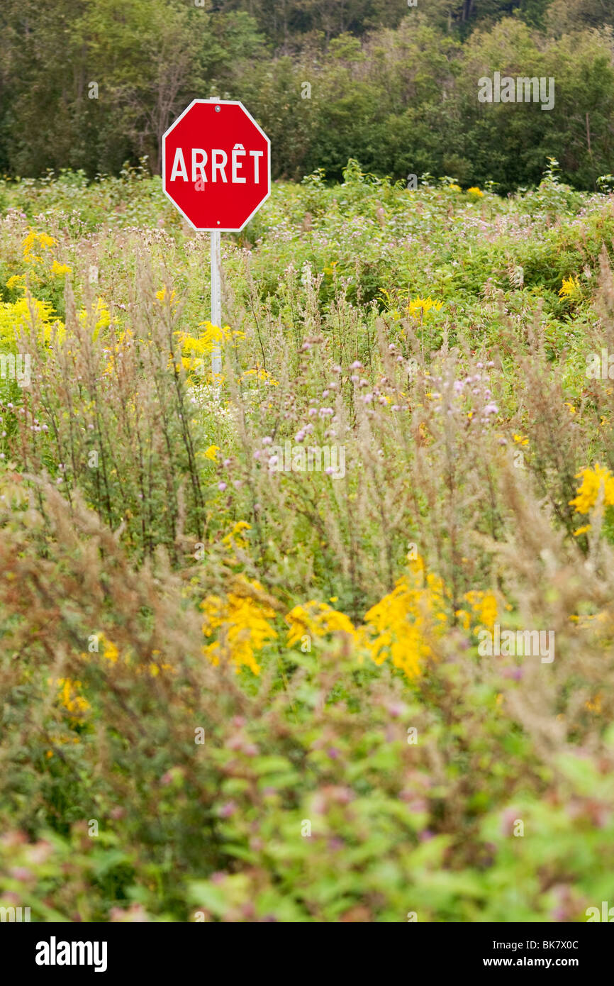 Arret, segno di stop nel bel mezzo del nulla. Foto Stock