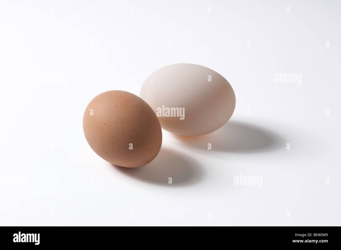 Gallina e Duck egg su sfondo bianco Foto Stock