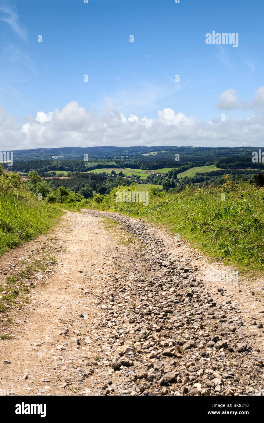 Bridleway sentiero attraverso la North Downs Way nel Surrey Hills, Newlands Corner, Surrey, England, Regno Unito Foto Stock