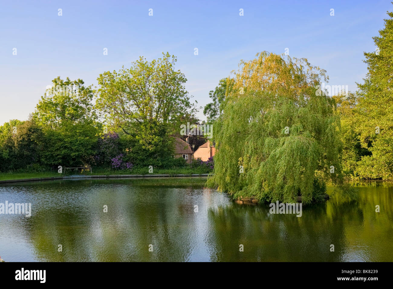 Shottermill Ponds, laghetto del villaggio, vicino a Haslemere, Surrey, Inghilterra, REGNO UNITO Foto Stock