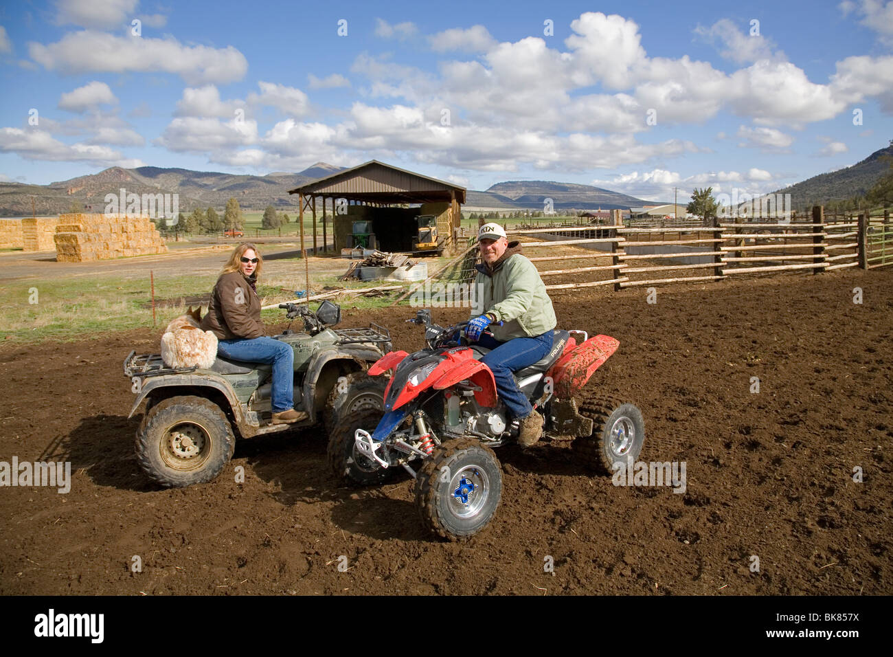 I moderni cow-boy su un ATV veicolo fuoristrada tornate fino ad un allevamento di bestiame per il branding su un grande ranch di bestiame nel centro di Oregon Foto Stock