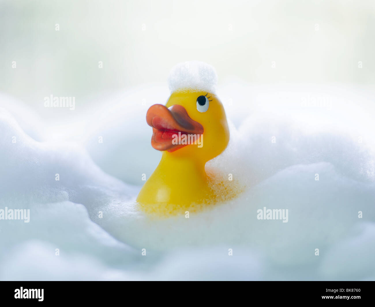 Anatra di gomma, plastica duck, giallo, schiuma Foto Stock