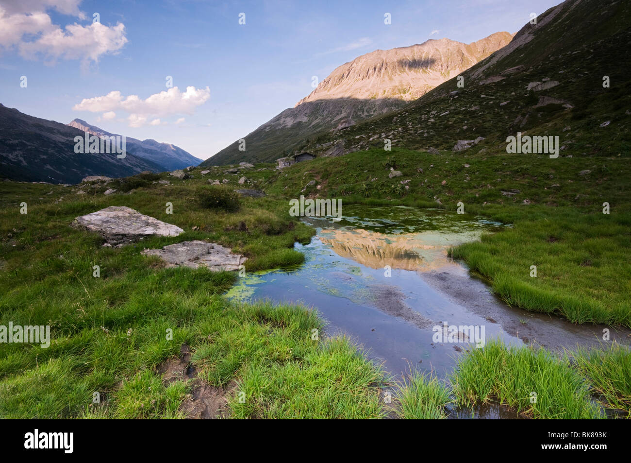 La riflessione di montagna Haupentales Zamser con uovo e Kleiner Hochsteller montagne Hochgebirgs in natura nel Parco La Zillerta Foto Stock