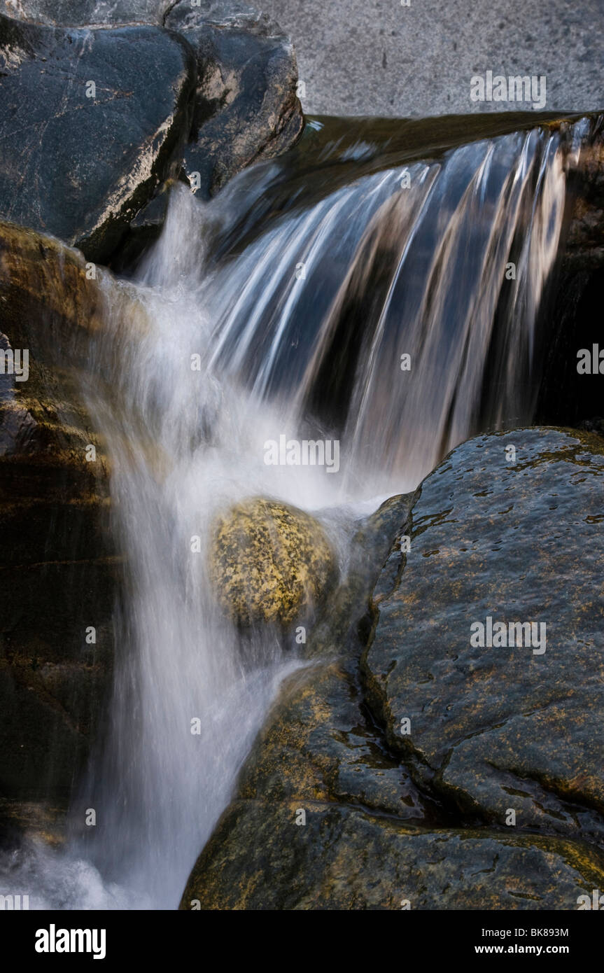 Torrente di montagna del fiume Zemmgrund Hochgebirgs nel parco della natura nelle Alpi della Zillertal Austria, Europa Foto Stock