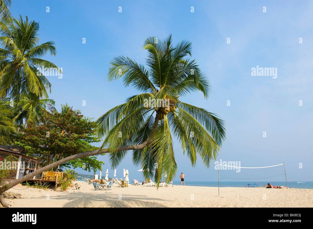 Palm Beach, Lamai Beach, Ko Samui, Tailandia, Asia Foto Stock