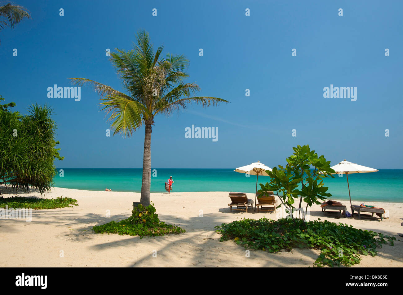 Palm Beach, la spiaggia di Chaweng, Ko Samui, Tailandia, Asia Foto Stock