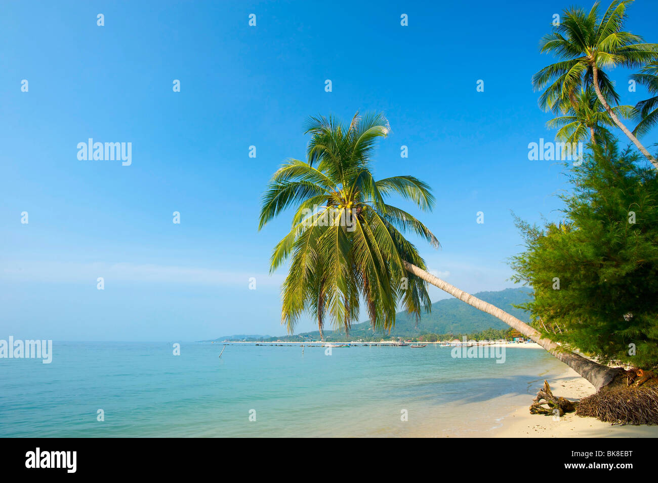 Lamai Beach, Ko Samui, Tailandia, Asia Foto Stock