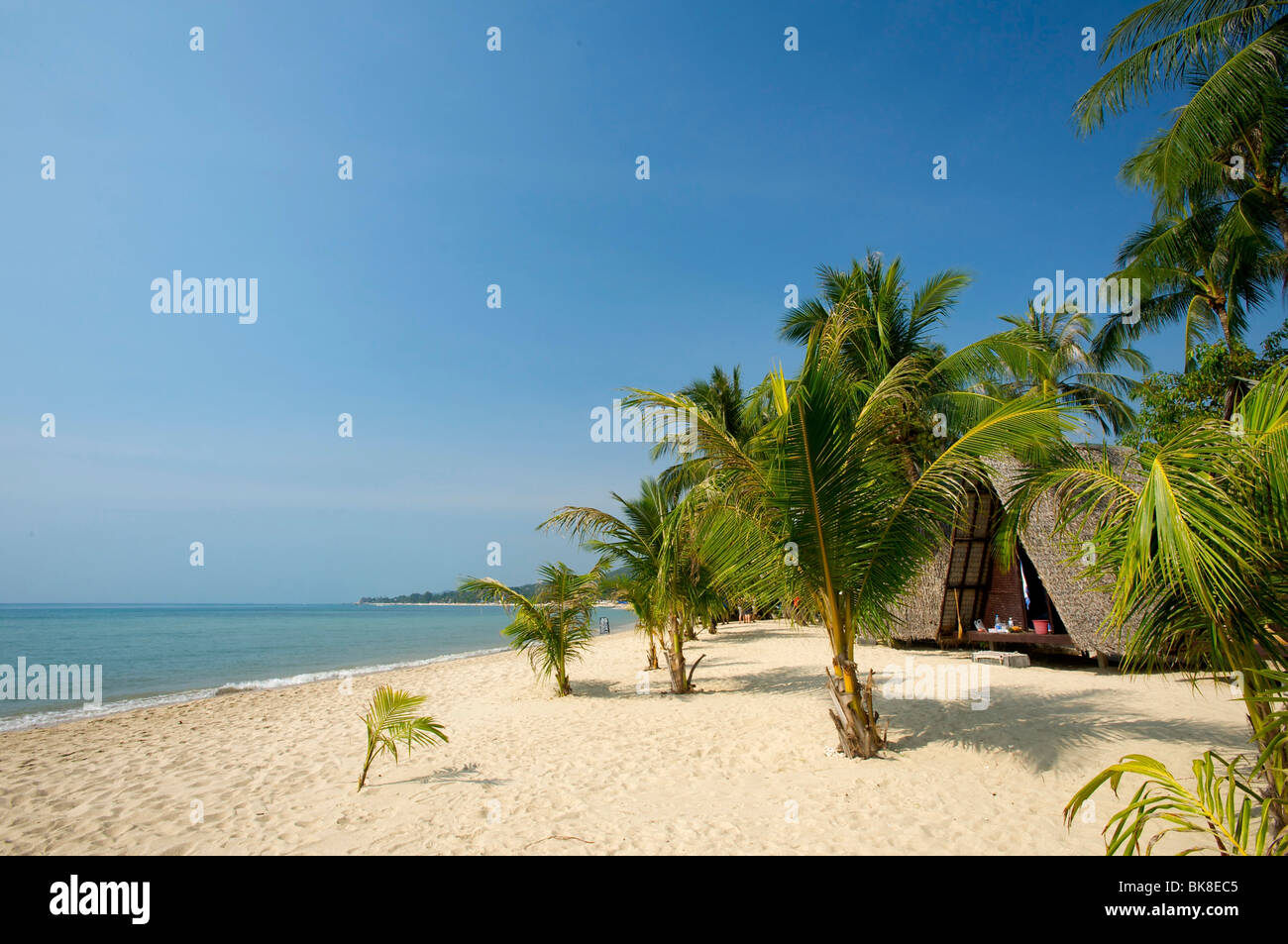 Capanne sulla spiaggia di Lamai Beach, Ko Samui, Tailandia, Asia Foto Stock