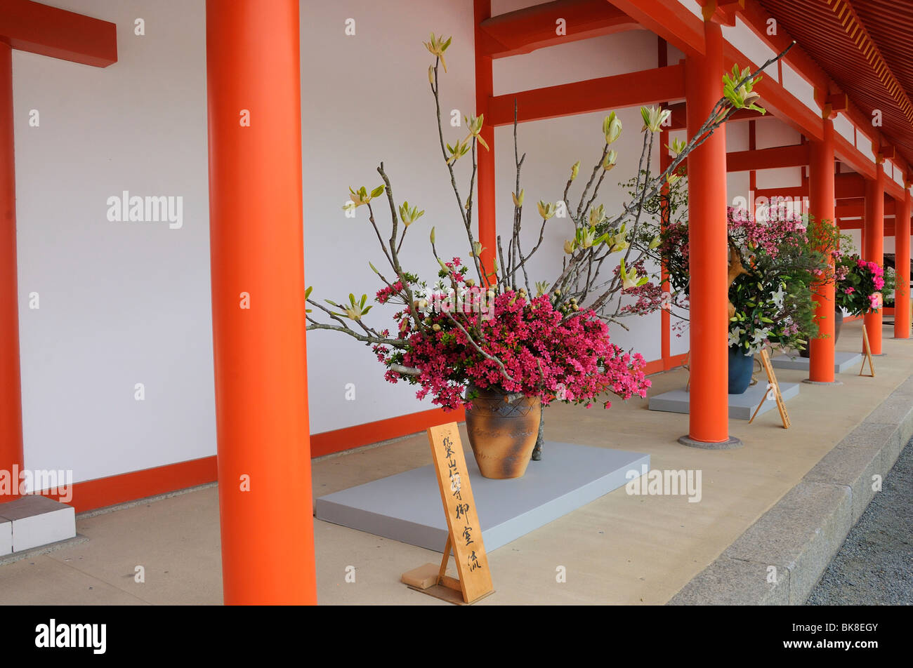 Apertura del Palazzo Imperiale al pubblico due volte l'anno, Ikebana nell'area del palazzo, Kyoto, Giappone, Asia orientale, Asia Foto Stock