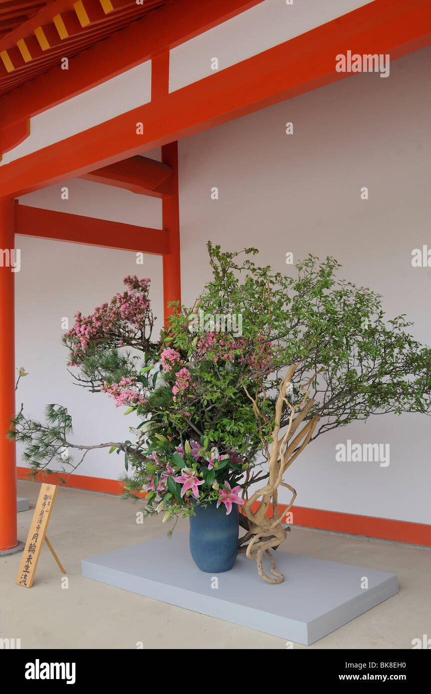 Apertura del Palazzo Imperiale al pubblico due volte l'anno, Ikebana nell'area del palazzo, Kyoto, Giappone, Asia orientale, Asia Foto Stock