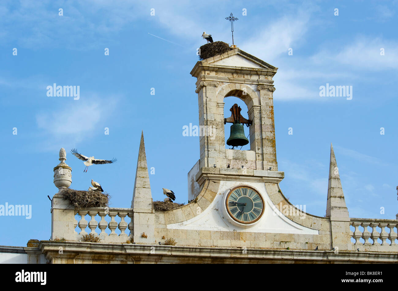 Torre campanaria con stork's Nest a Faro, Algarve, Portogallo, Europa Foto Stock
