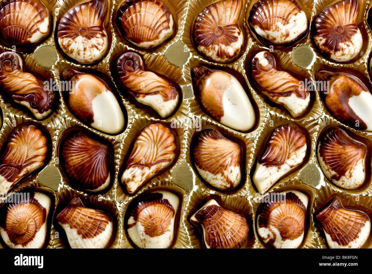 Il cioccolato belga di conchiglie Foto Stock