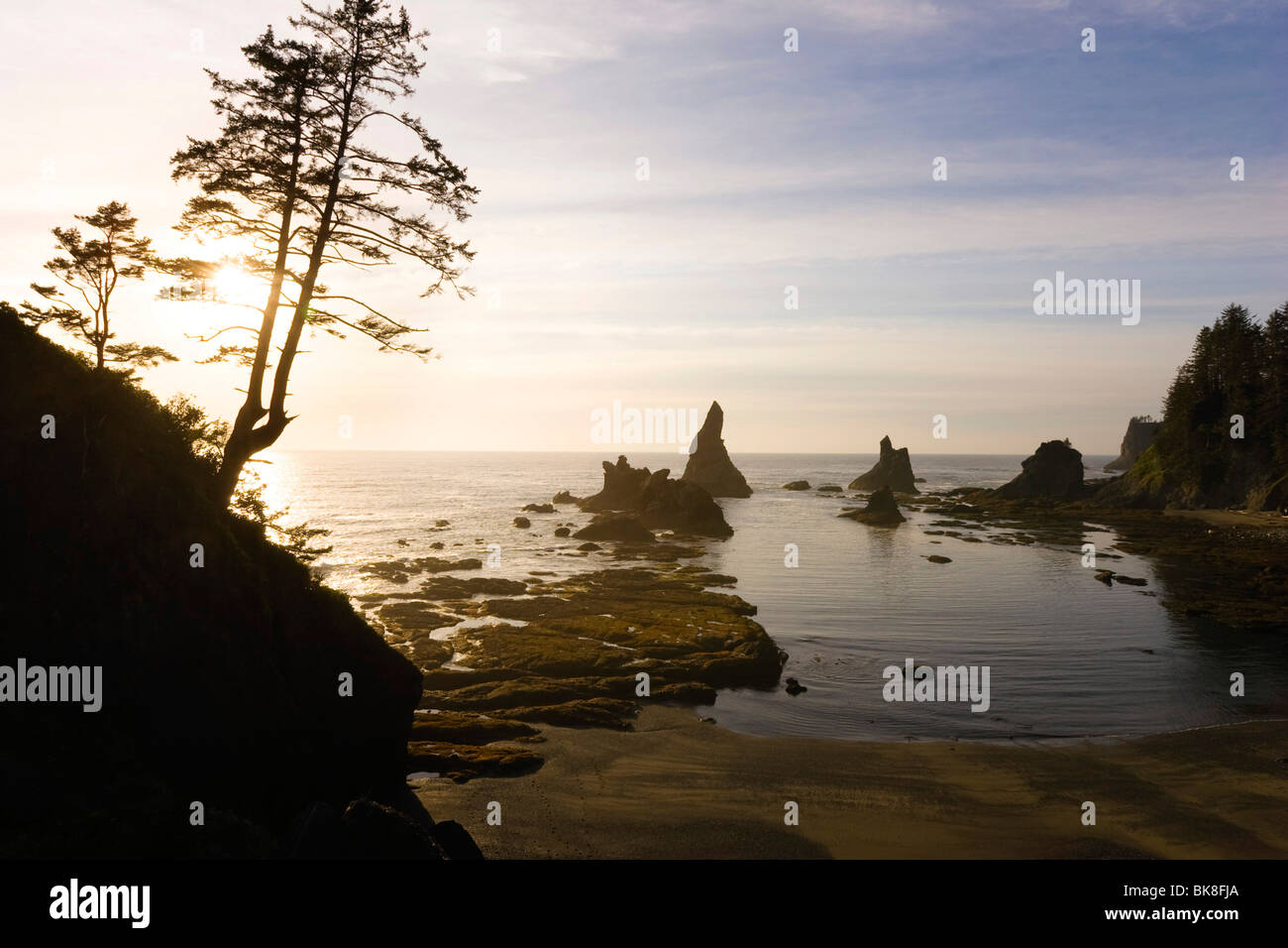 Tramonto a Shi Shi Beach, nella costa occidentale della Penisola Olimpica, Washington, Stati Uniti d'America Foto Stock