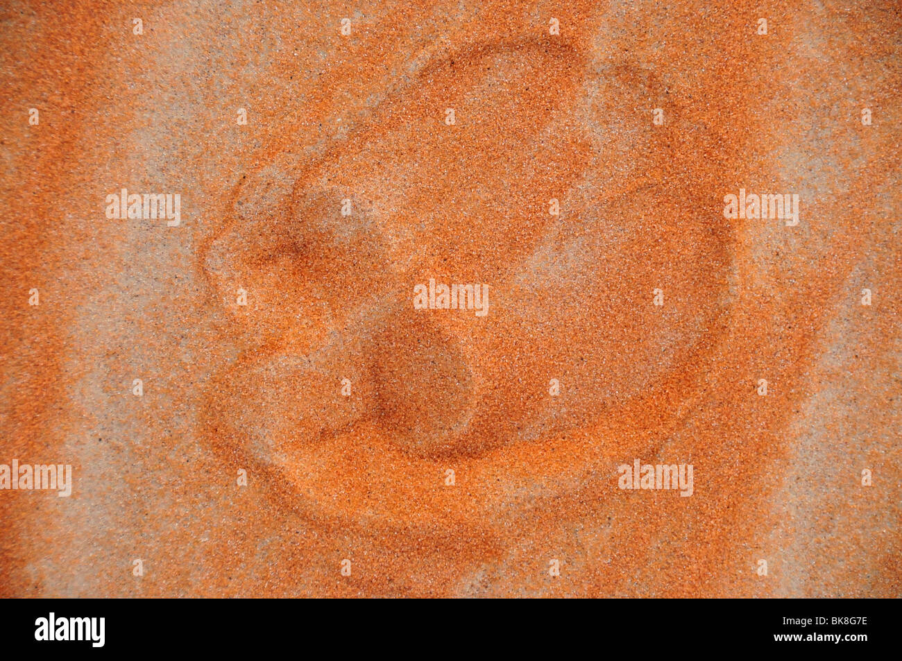 Footprint di un dromedario (camelus dromedarius) nella sabbia, Liwa Oasis, Abu Dhabi, Emirati Arabi Uniti, in Arabia, in Medio Oriente, o Foto Stock