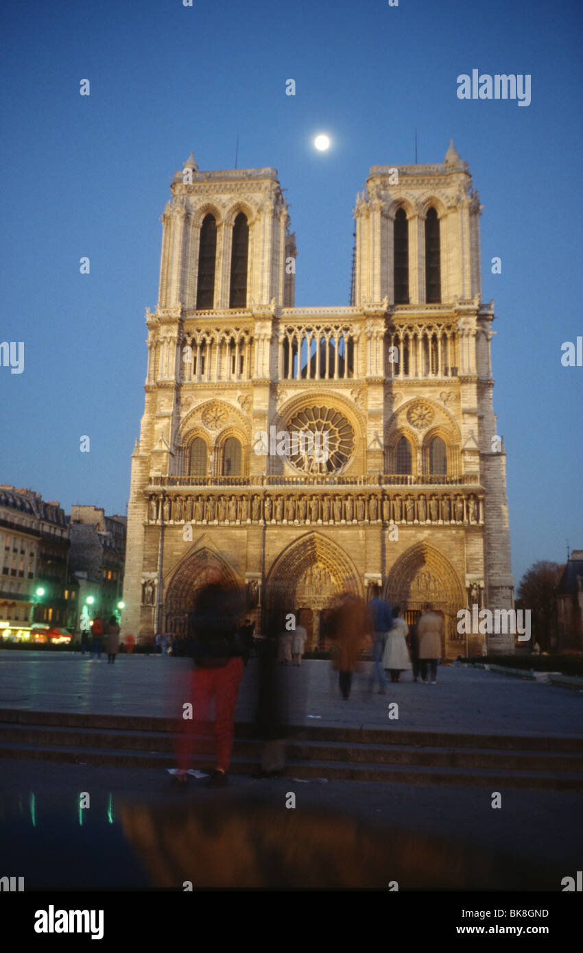 Cattedrale di Notre Dame de Parigi di notte, Parigi, Francia, Europa Foto Stock