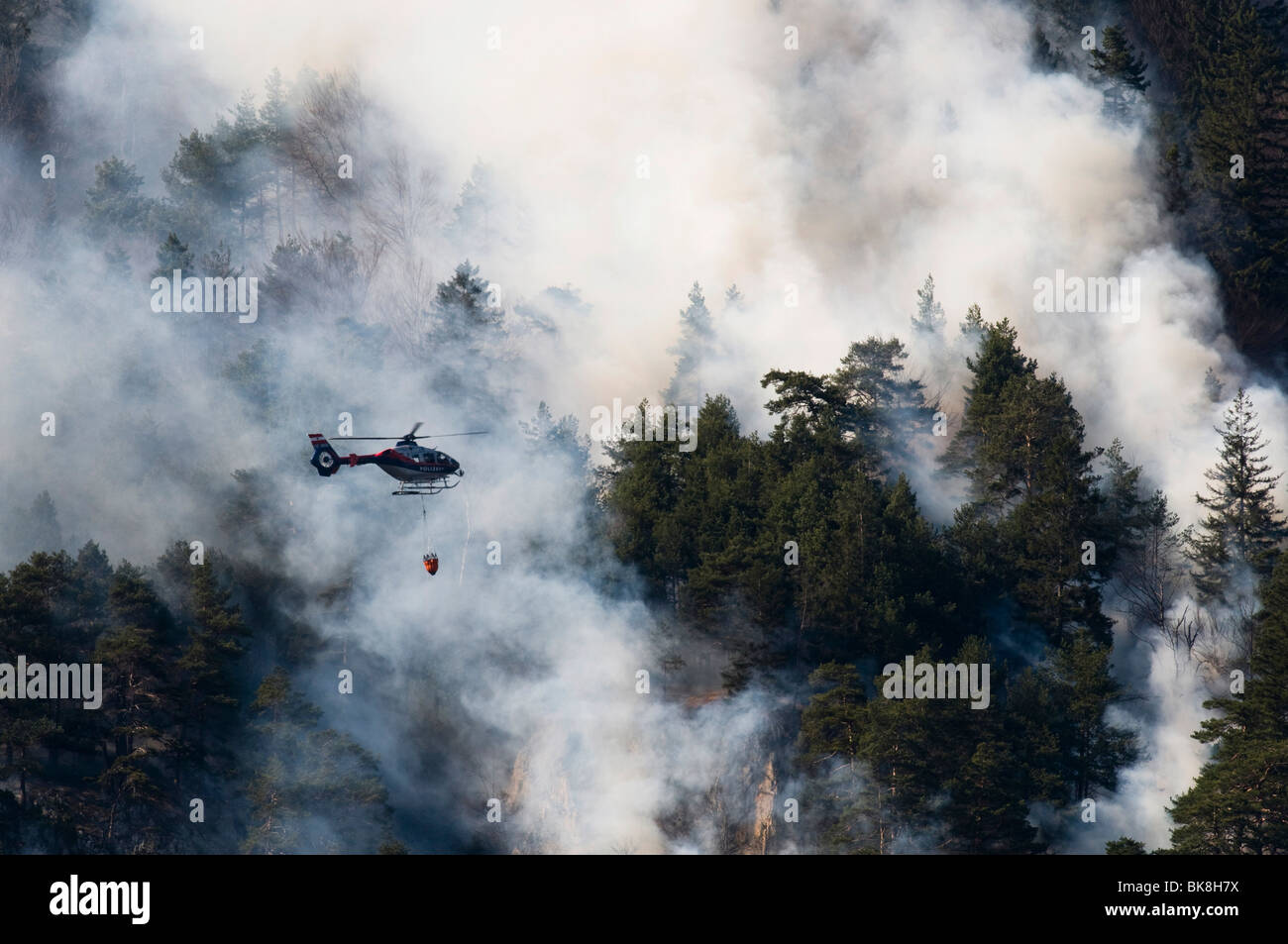 Incendio di foresta nella gamma di Karwendel vicino a Innsbruck in Tirolo, Austria Foto Stock