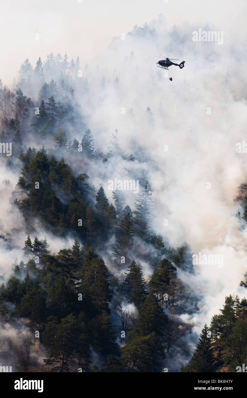 Incendio di foresta nella gamma di Karwendel vicino a Innsbruck in Tirolo, Austria Foto Stock