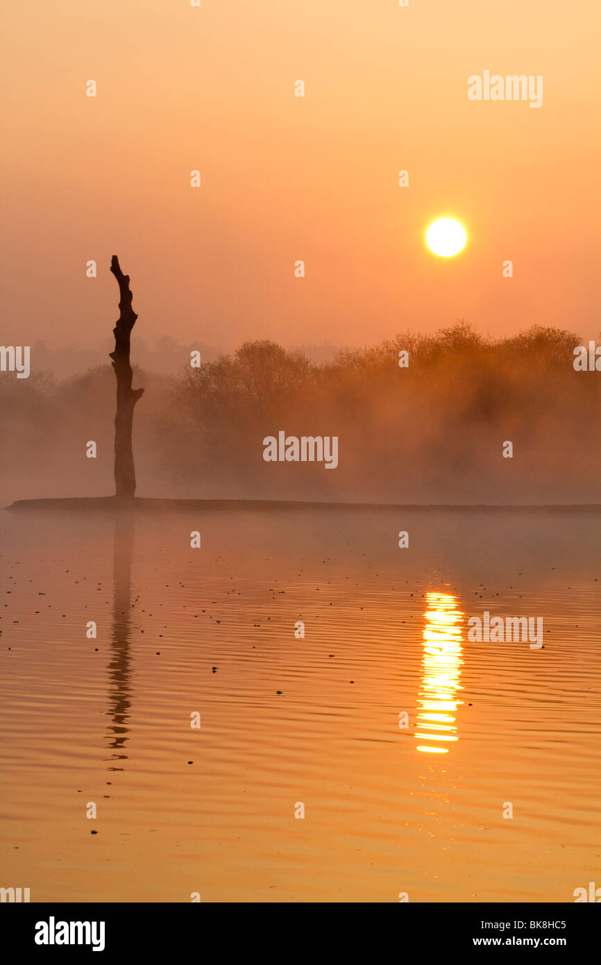 Sunrise a Attenborough Riserva Naturale, Nottinghamshire, Inghilterra Foto Stock