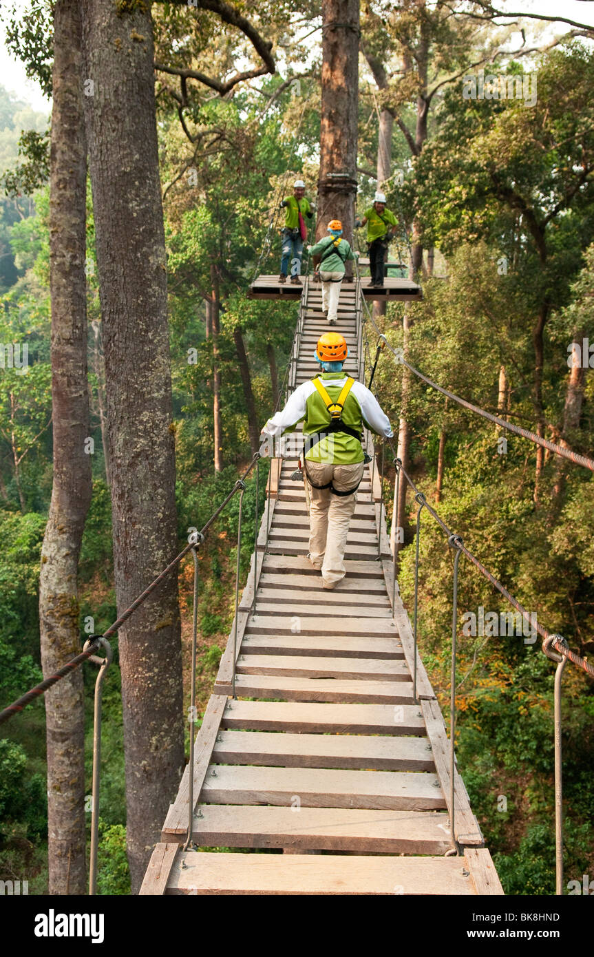 Ponte sospeso alla giungla zip di volo di linea e di copertura forestale tour; Chiang Mai, Thailandia. Foto Stock