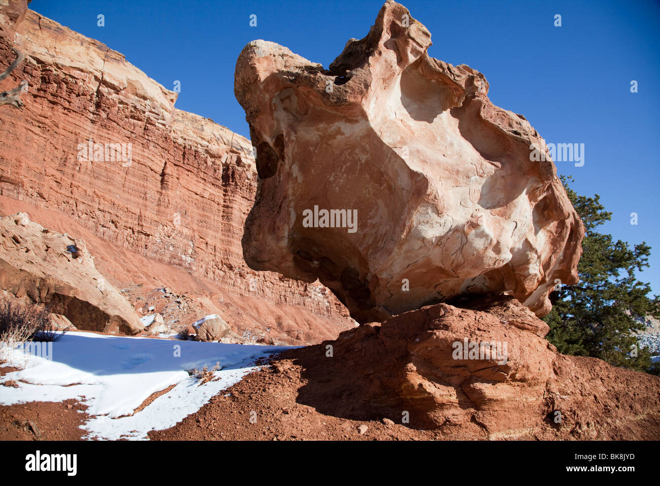 Interessanti formazioni rocciose scolpite dalle forze del vento, pioggia, ed erosione dot Utah Capitol Reef National Park. Foto Stock