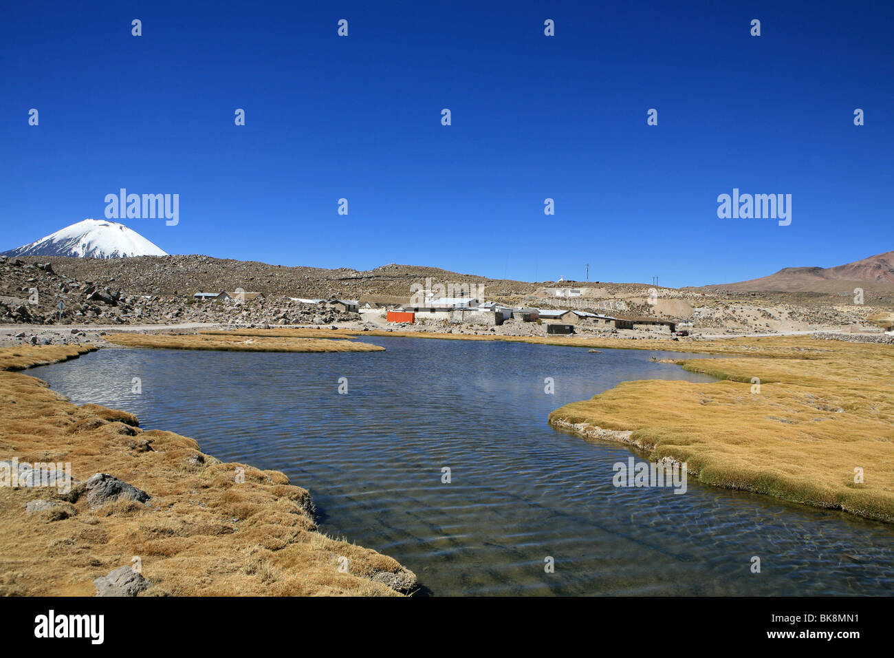 Fiume di Parinacota, Cile Foto Stock