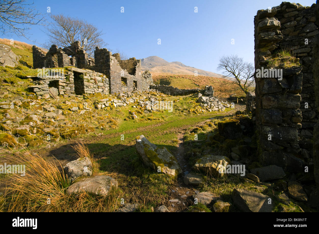 Arenig Fawr dalla fattoria in rovina a Amnodd-wen, nel Arenig colline, nei pressi di Trawsfynydd, Snowdonia, Galles del Nord, Regno Unito Foto Stock