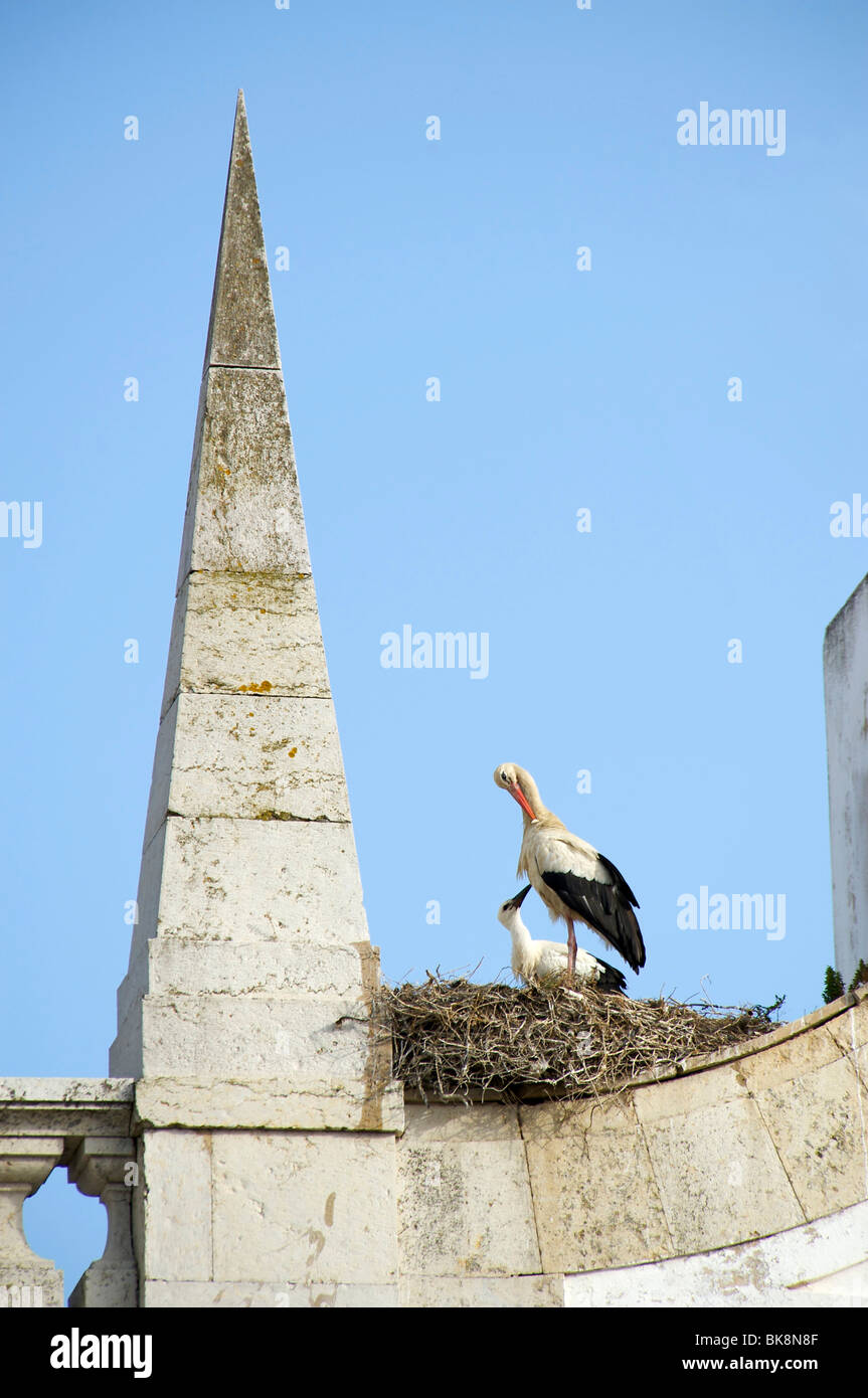 Stork's Nest a Faro, Algarve, Portogallo, Europa Foto Stock