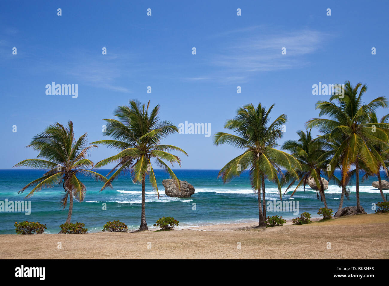 Betsabea, East Coast, Barbados, Caraibi Foto Stock