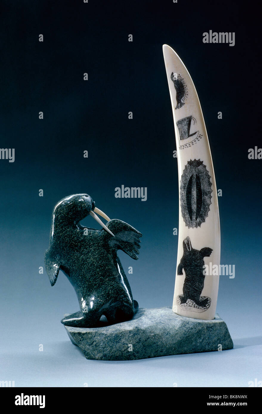 Scolpiti in pietra ollare trichechi e scrimshaw brosmio, artista Inuit, Nunavut, Canada Foto Stock