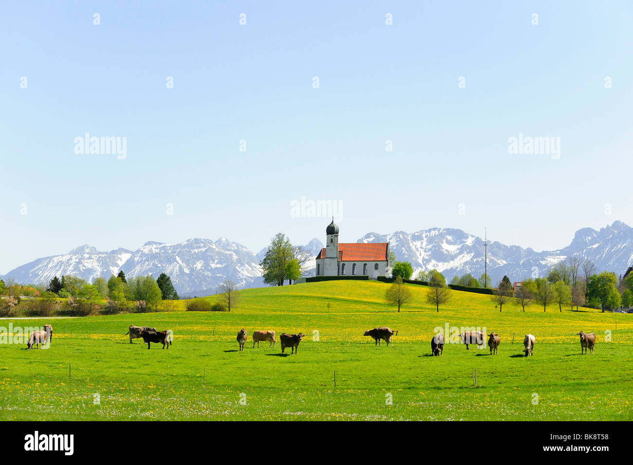 Chiesa di San Giorgio, Rueckholz, Est Allgaeu, Allgaeu, Baviera, Germania, Europa Foto Stock