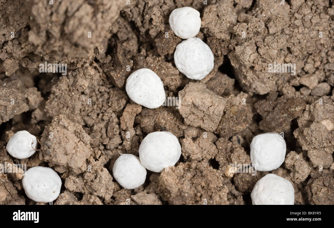 Il nitrato di ammonio in granuli Foto Stock