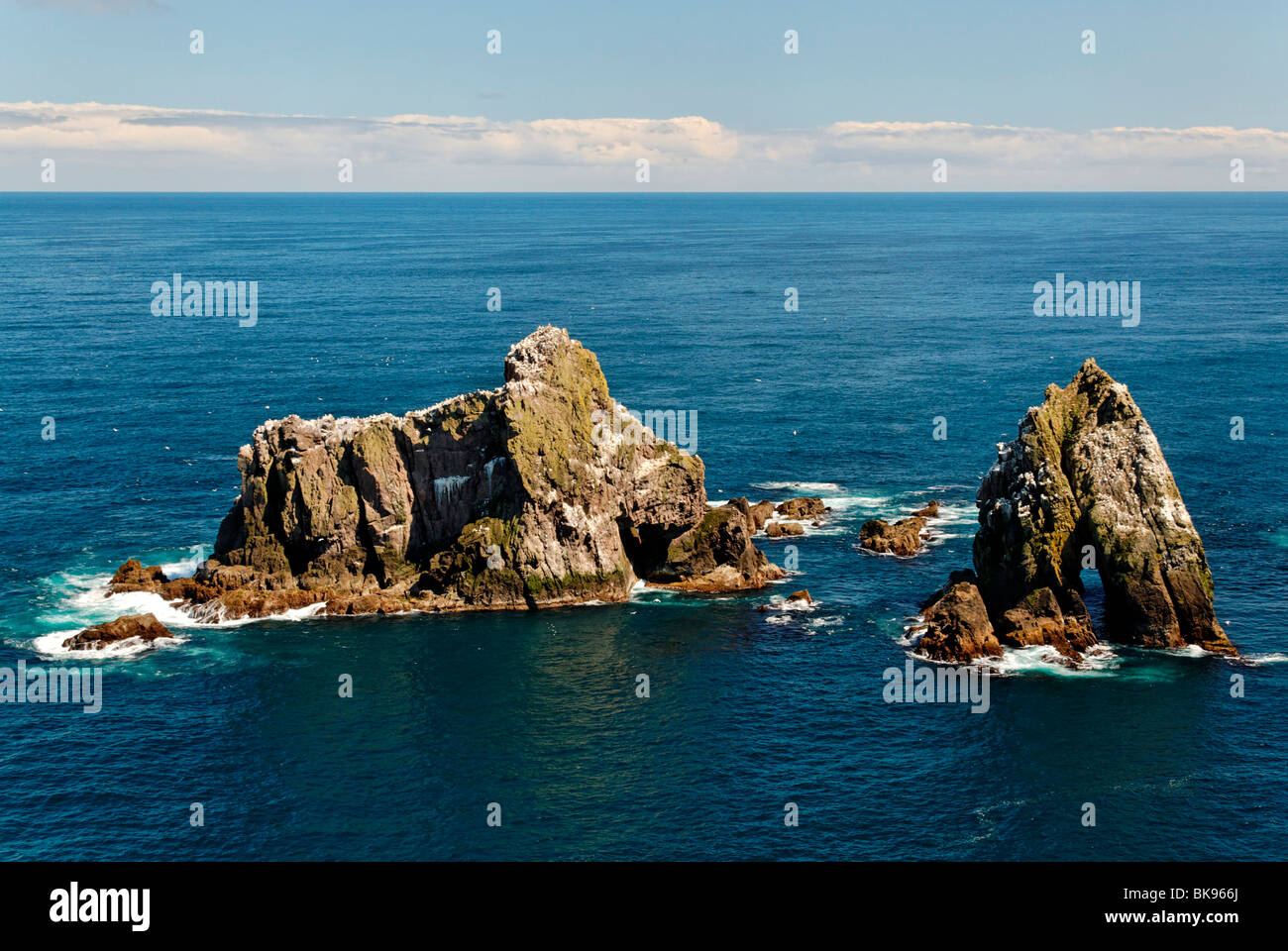 Rocce con la parte settentrionale di sule (Morus bassanus) off Fair Isle, Shetland Scozia, Regno Unito, Europa Foto Stock