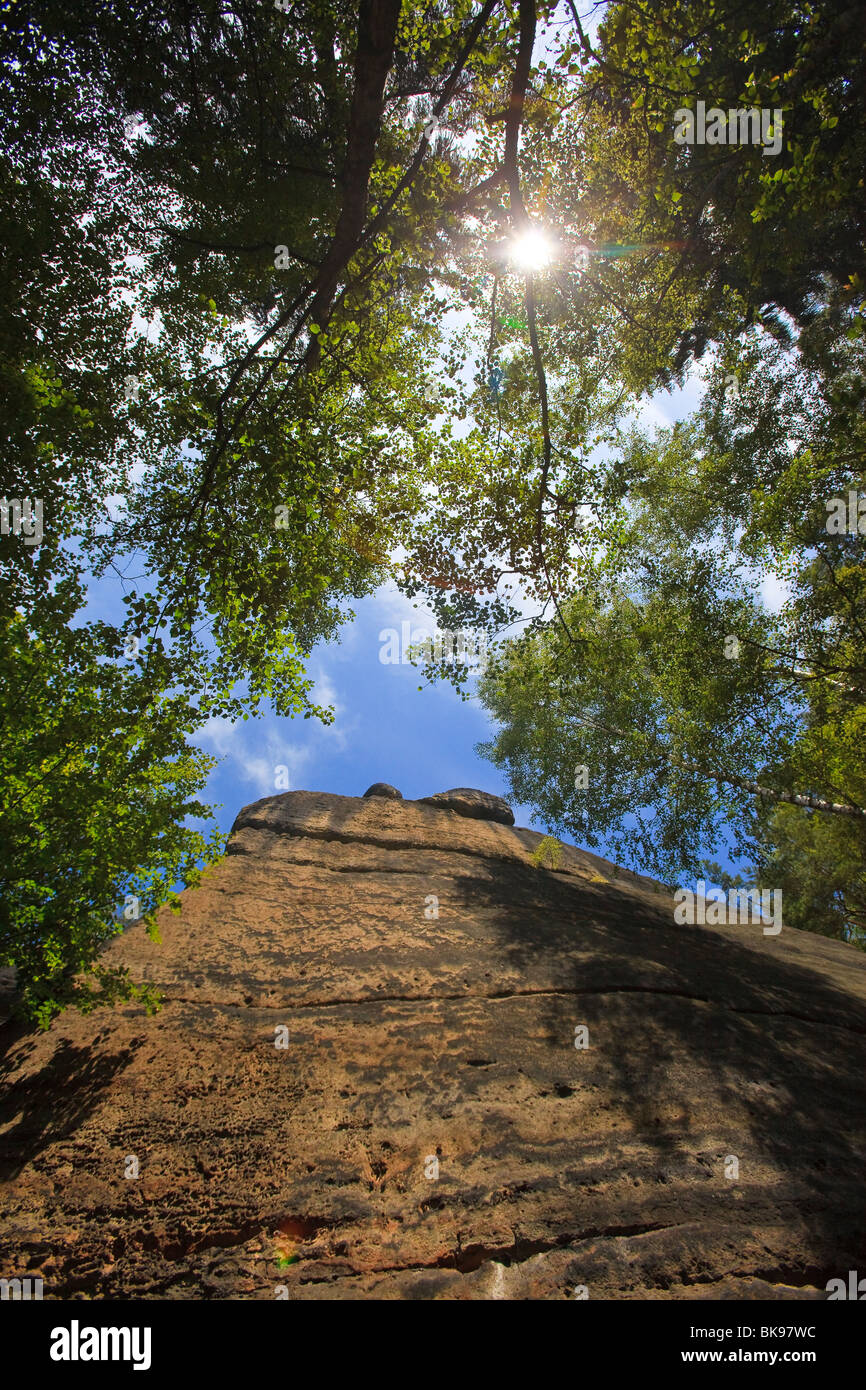 Guardando in alto nel cielo, Svizzera Sassone Elbe montagne di arenaria nella Nationalpark Saechsische Schweiz Parco Nazionale di sax Foto Stock