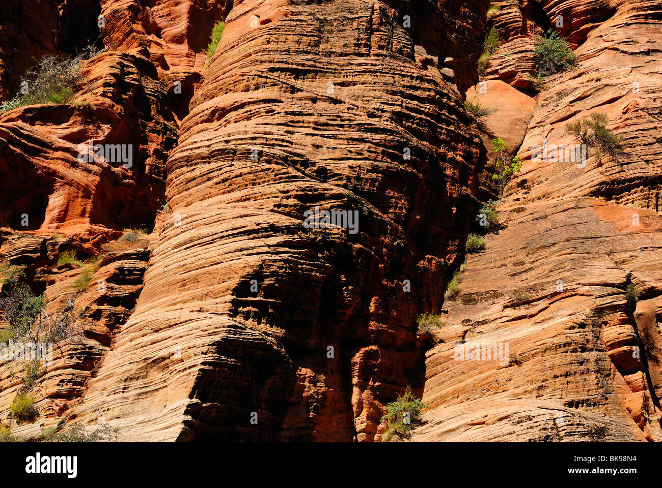 Bordo roccioso di angeli lo sbarco nel Parco Nazionale di Zion, Utah, Stati Uniti d'America Foto Stock