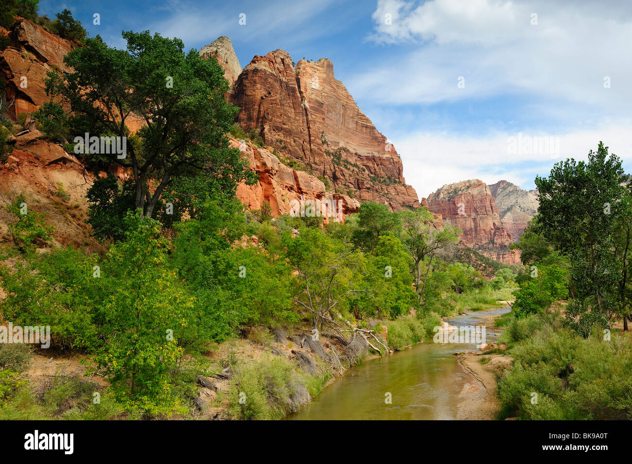 Vista panoramica sulla Emerald Pools Sito nel Parco Nazionale di Zion, Utah, Stati Uniti d'America Foto Stock