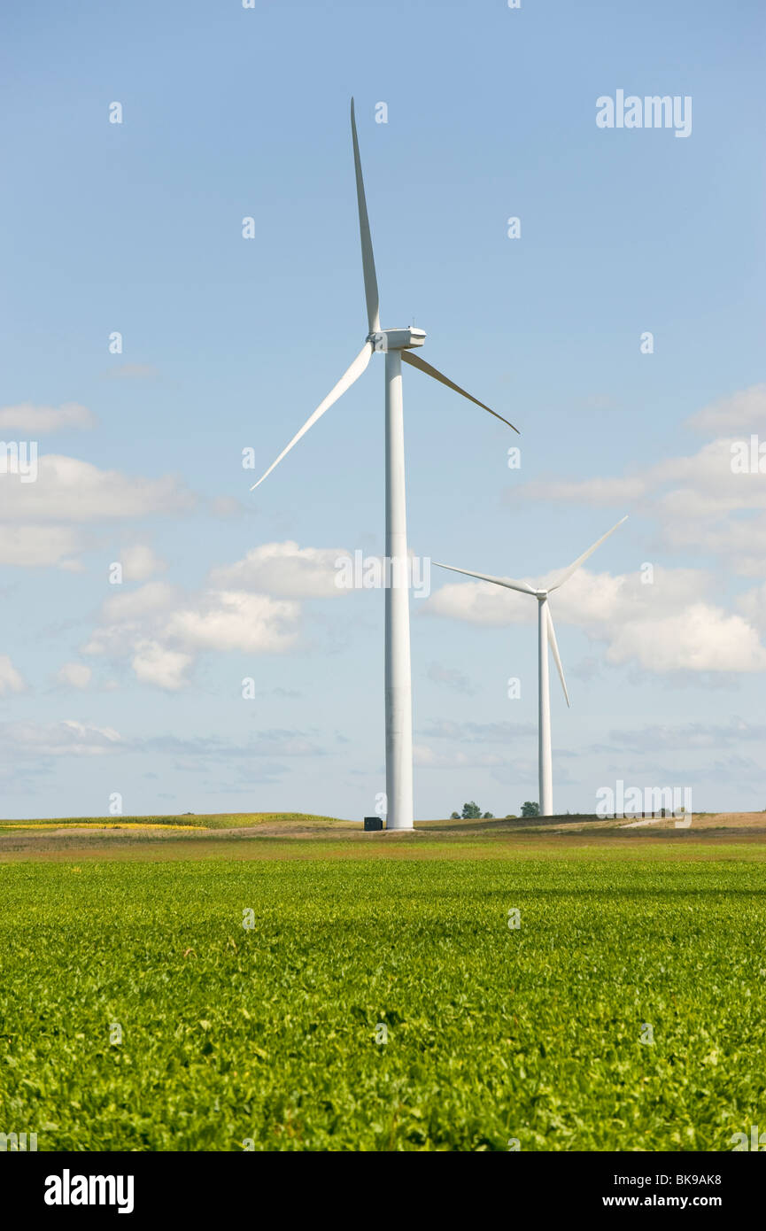 Mulino a vento mulino generare generatore di generazione di equilibrio il conservatorismo conservare ecosistema ecologia ambiente ambientali Amb. Foto Stock