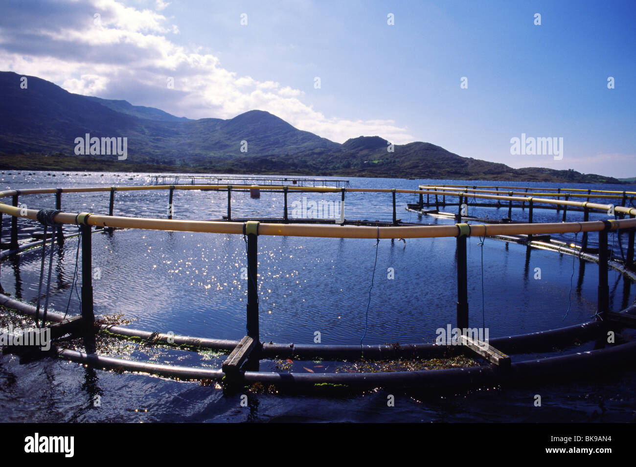 Irlanda del litorale atlantico vicino alla città di Sneem, come si vede da una barca (Contea di Kerry, Irlanda, nel settembre 2009) Foto Stock