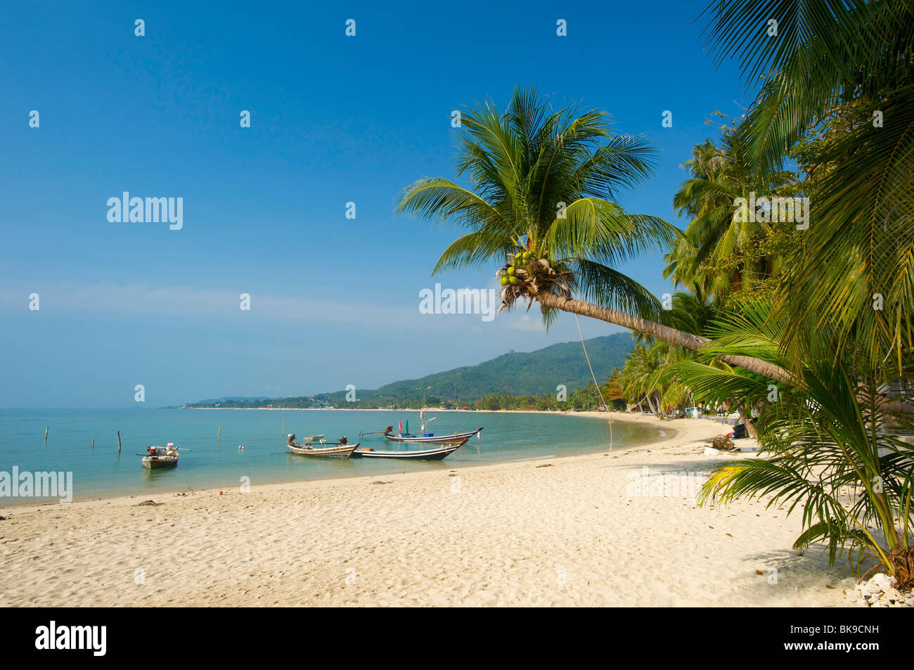 Lamai Beach, Ko Samui, Tailandia, Asia Foto Stock