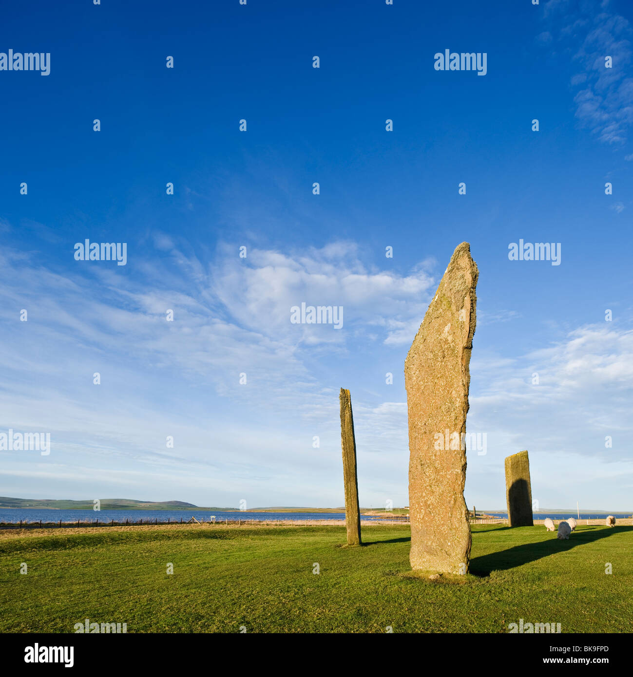Pietre permanente di Stenness, isole Orcadi, Scozia Foto Stock