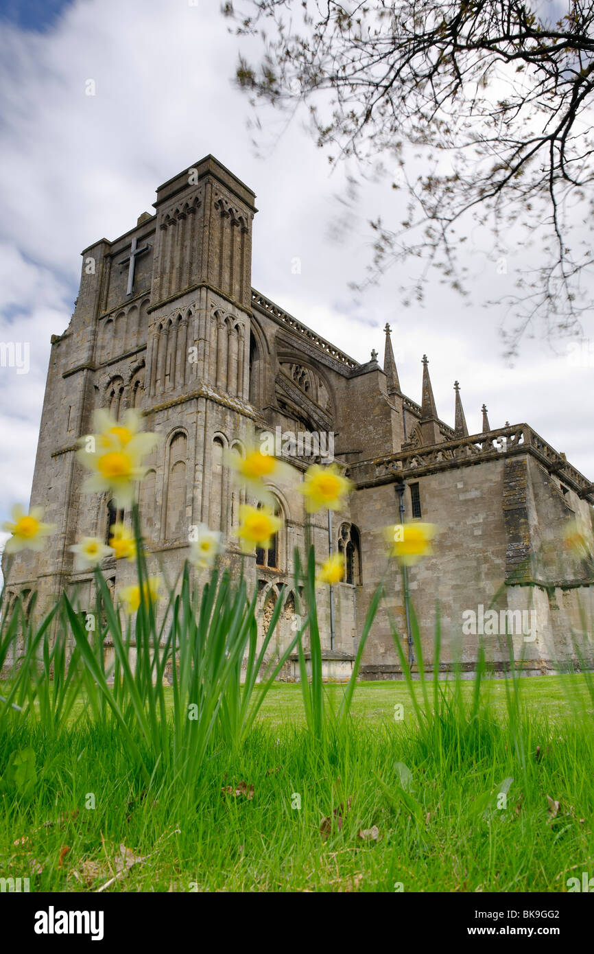 Malmesbury Abbey di primavera Foto Stock