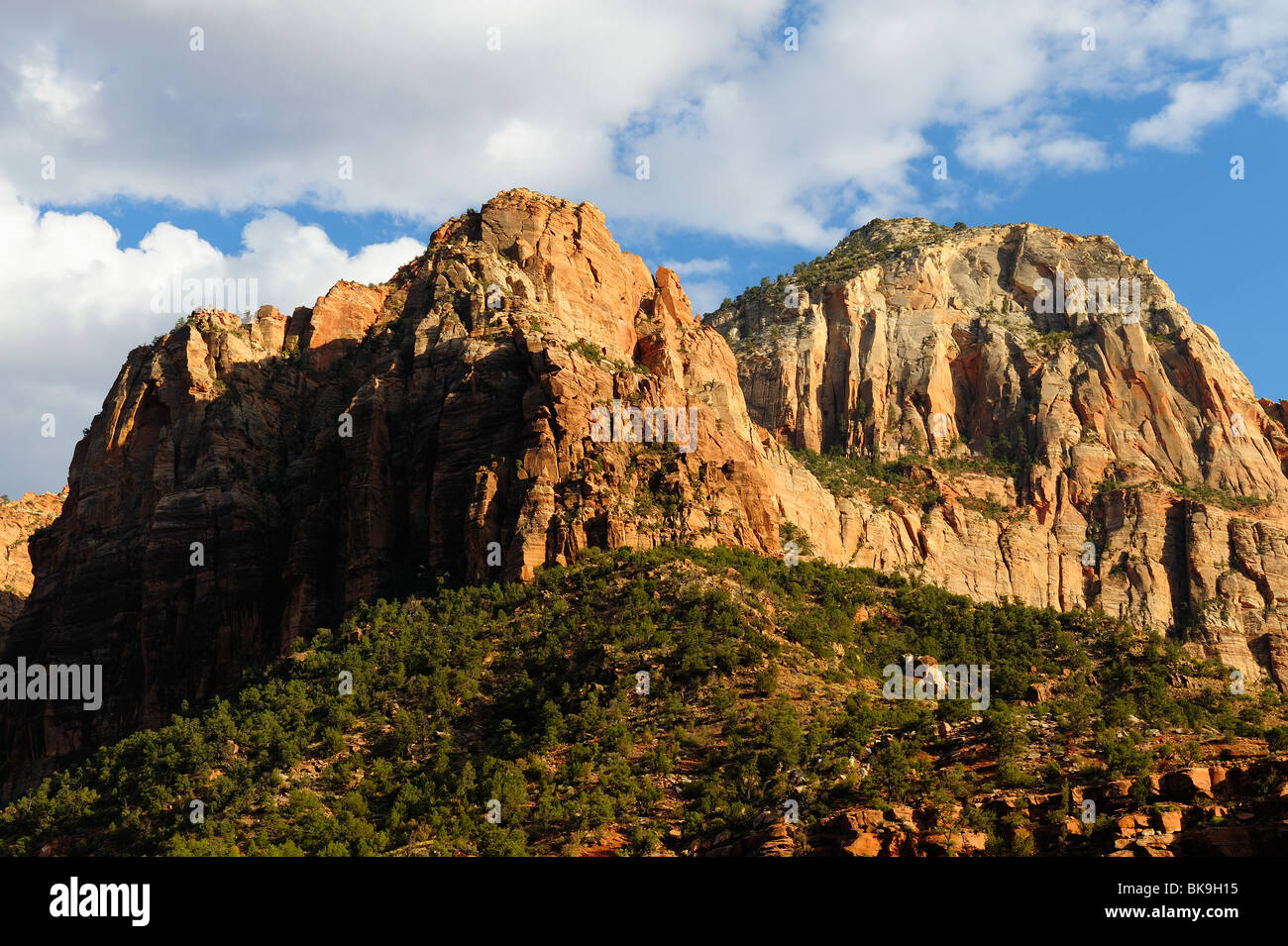 Sentinella collina di arenaria nel Parco Nazionale di Zion, Utah, Stati Uniti d'America Foto Stock