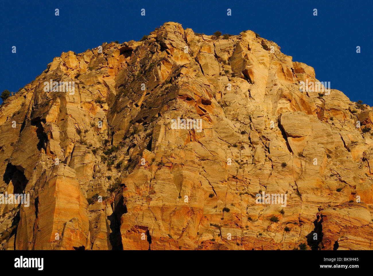 Sentinella collina di arenaria nel Parco Nazionale di Zion, Utah, Stati Uniti d'America Foto Stock