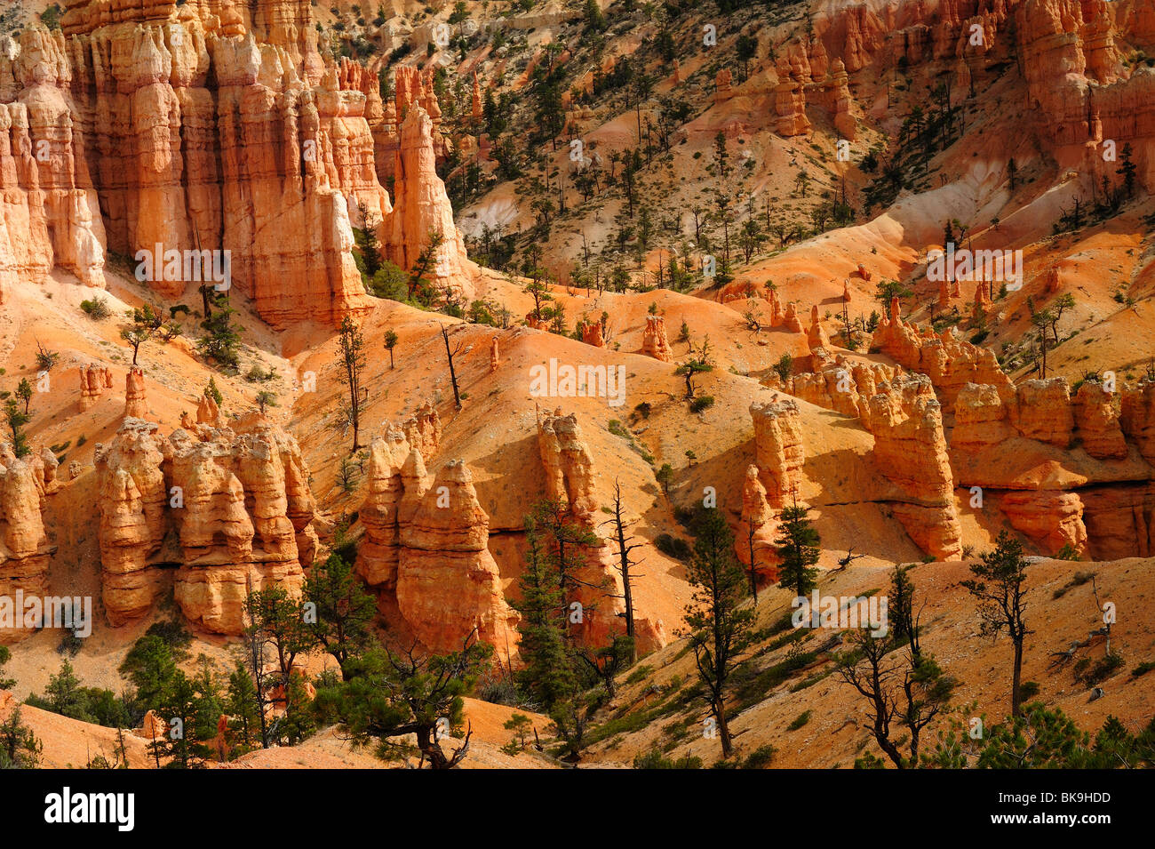 Vista panoramica "hoodoos' nel Bryce Canyon da Fairyland loop trail, Utah, Stati Uniti d'America Foto Stock