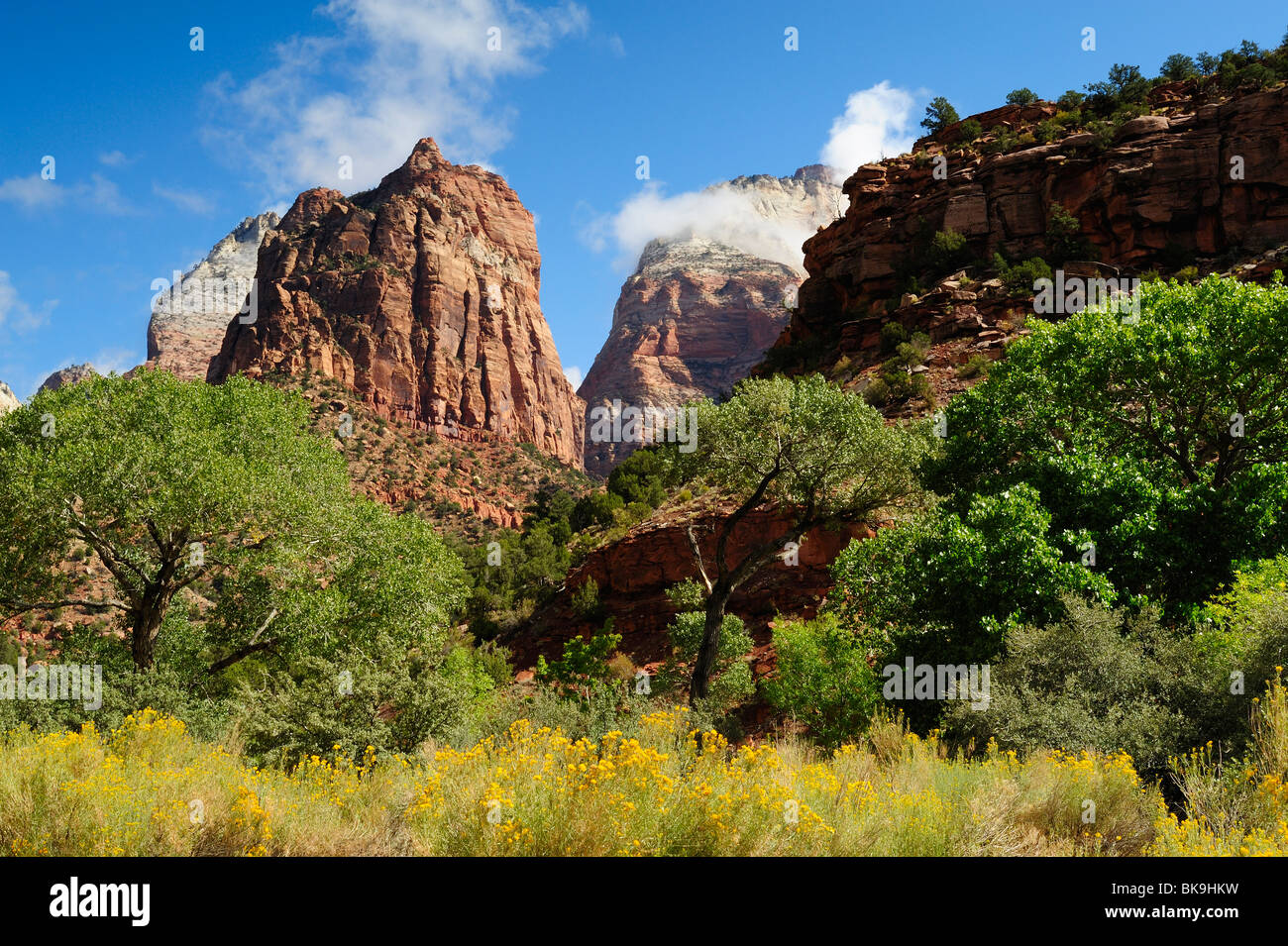 Sentinella collina di arenaria nel Parco Nazionale di Zion, Utah, Stati Uniti d'America Foto Stock