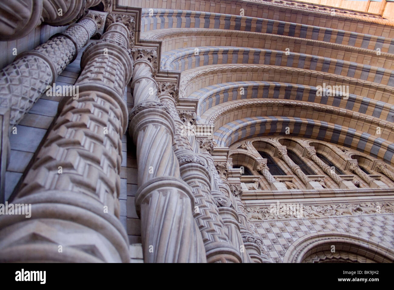 Museo di Storia Naturale di Londra Foto Stock