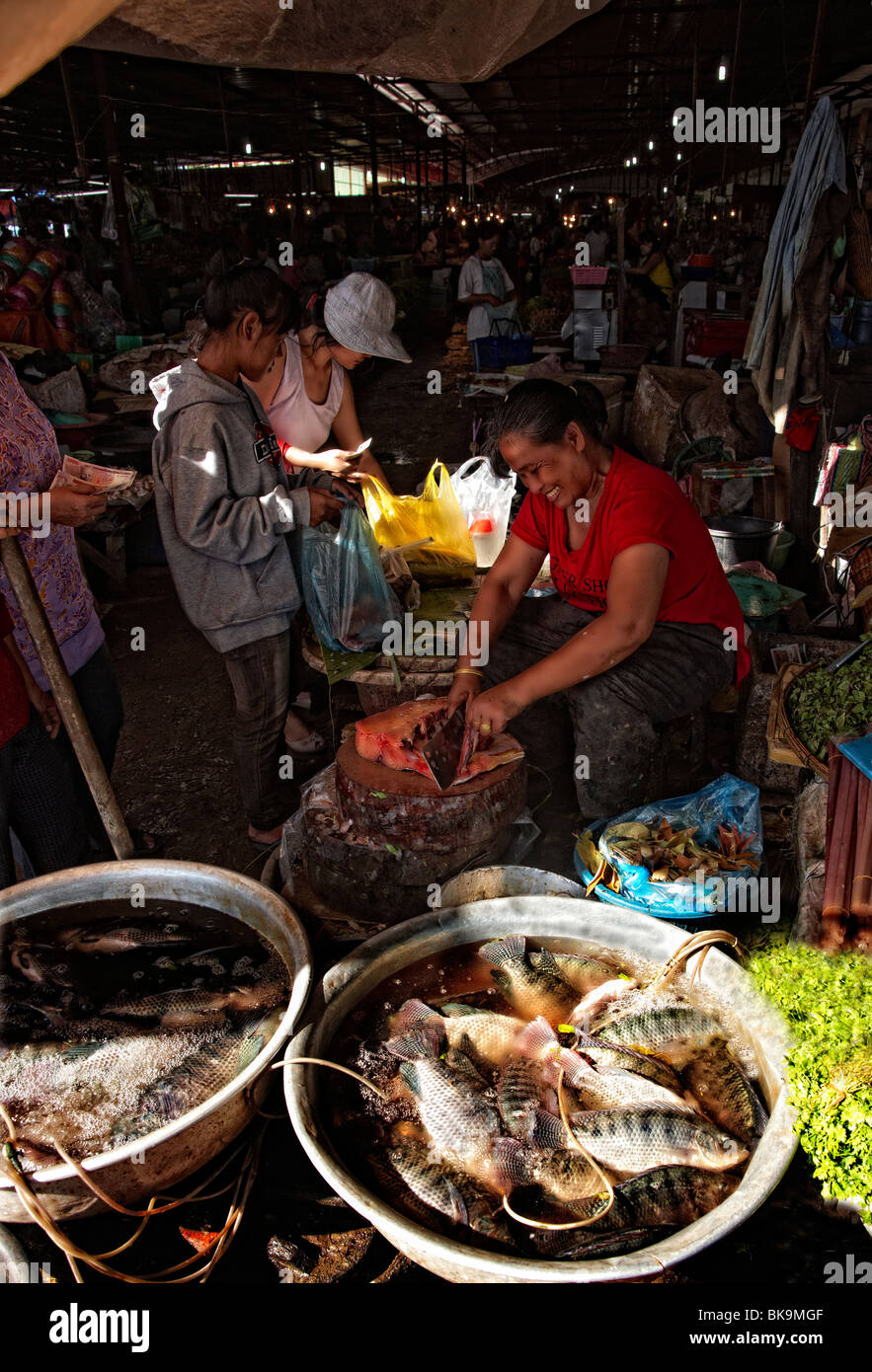 Donna venditore di pesce Pesce di taglio, mercato alimentare, Vientiane, Laos Foto Stock