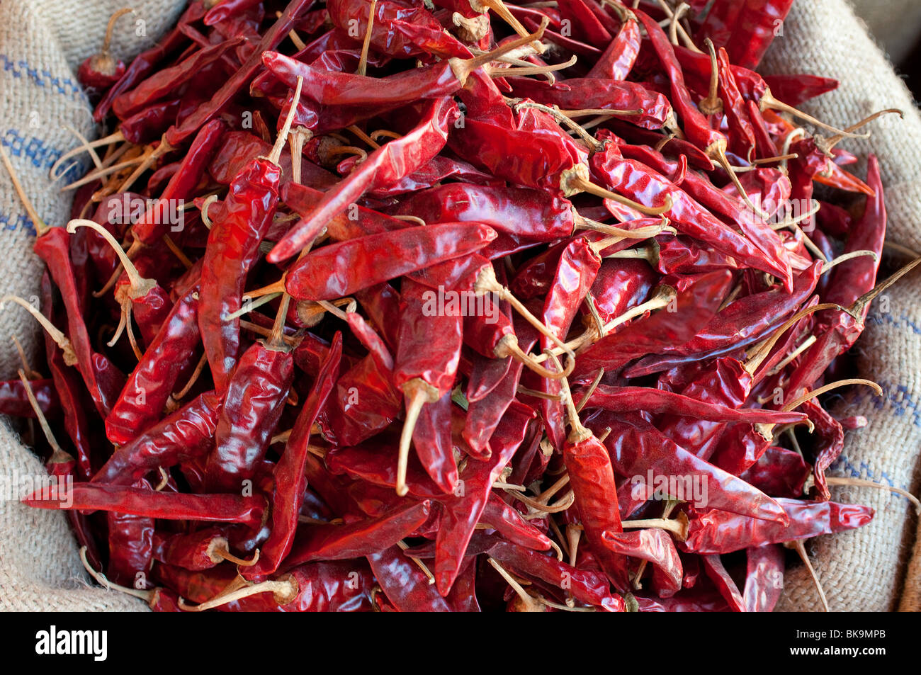 Secchi peperoncino rosso, Fort Cochin, Kerala, India Foto Stock