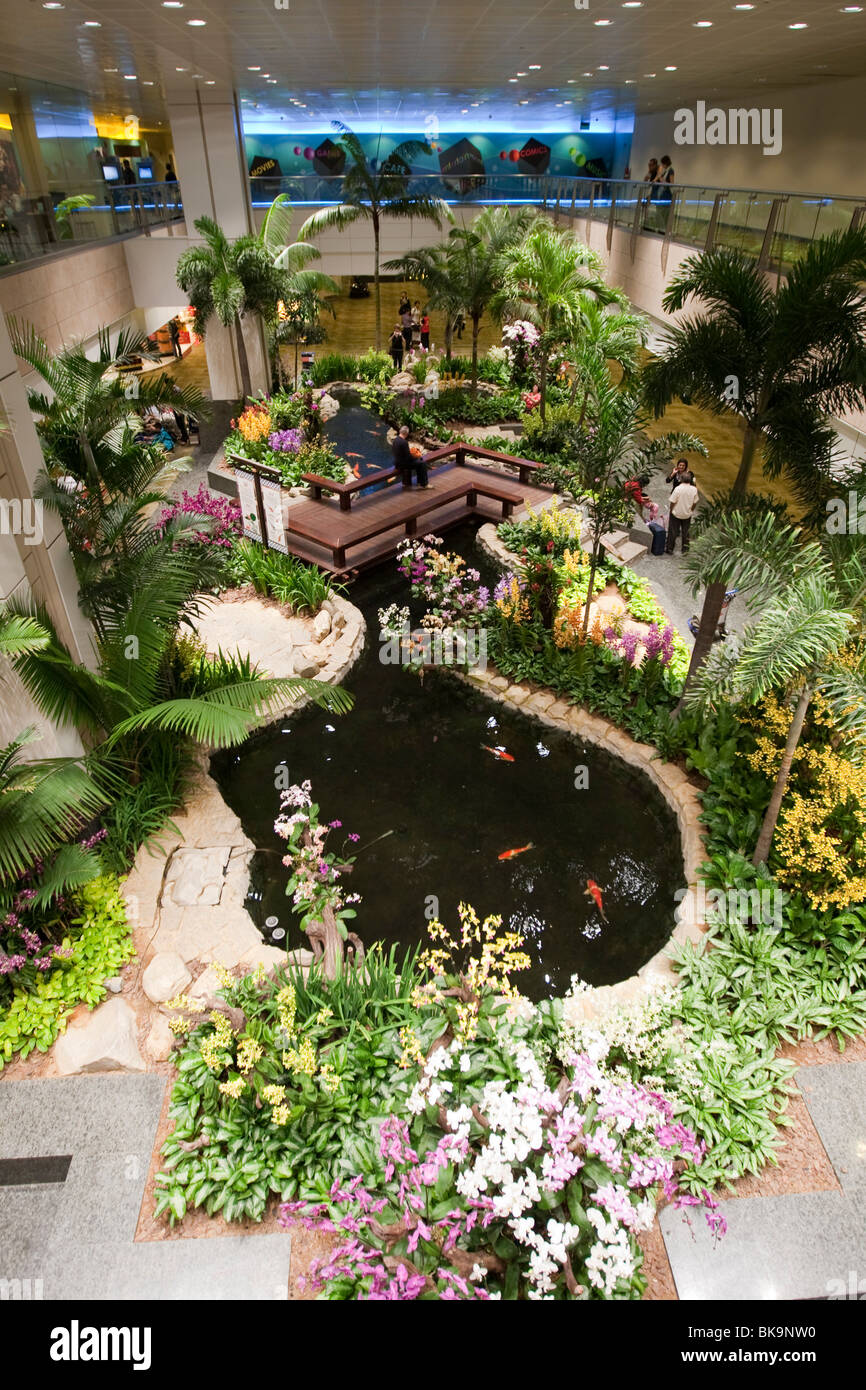 Orchid Garden in Aeroporto Changi di Singapore, Indonesia, sud-est asiatico Foto Stock